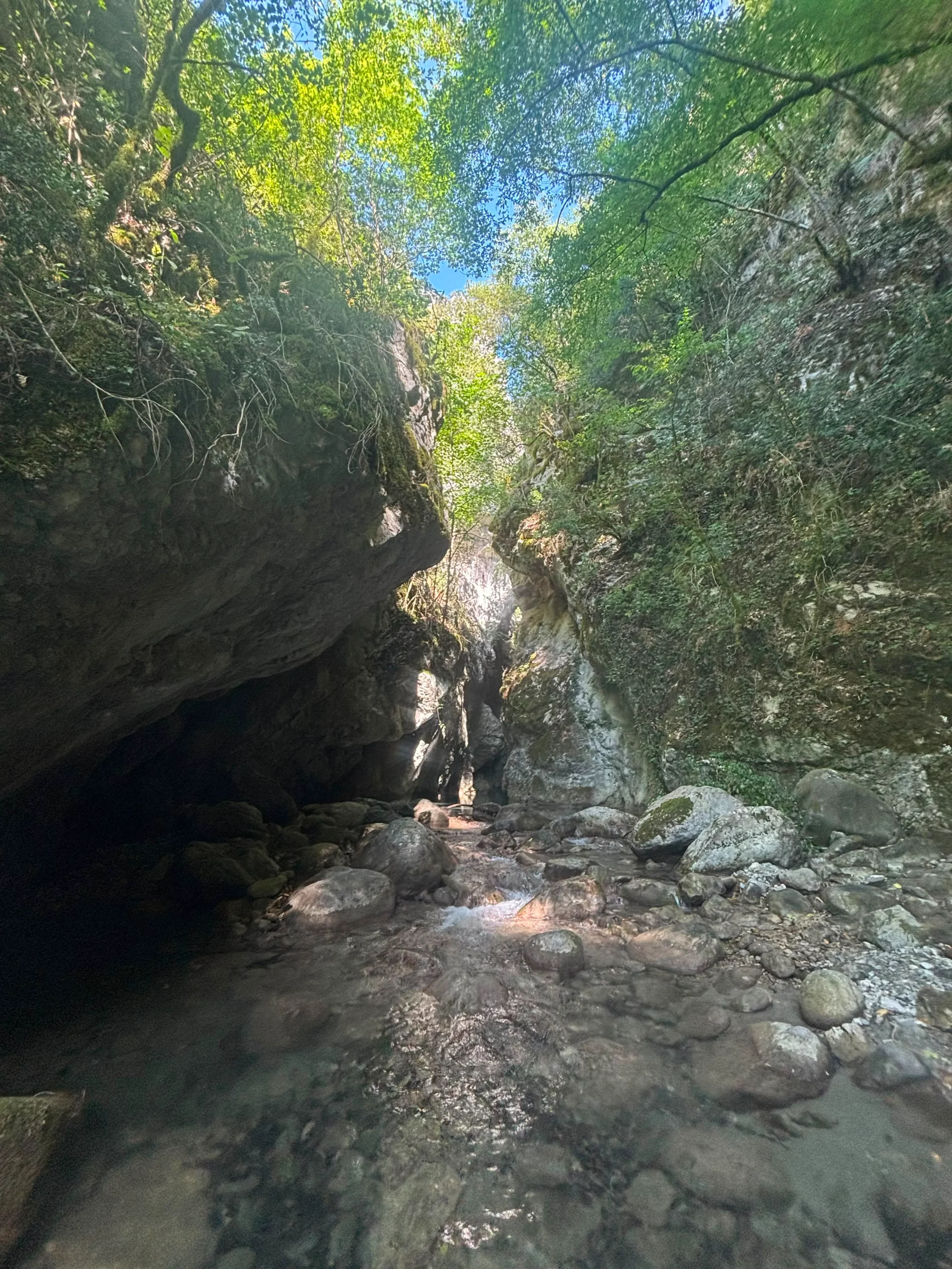 amcanyoning-infernet-nature
