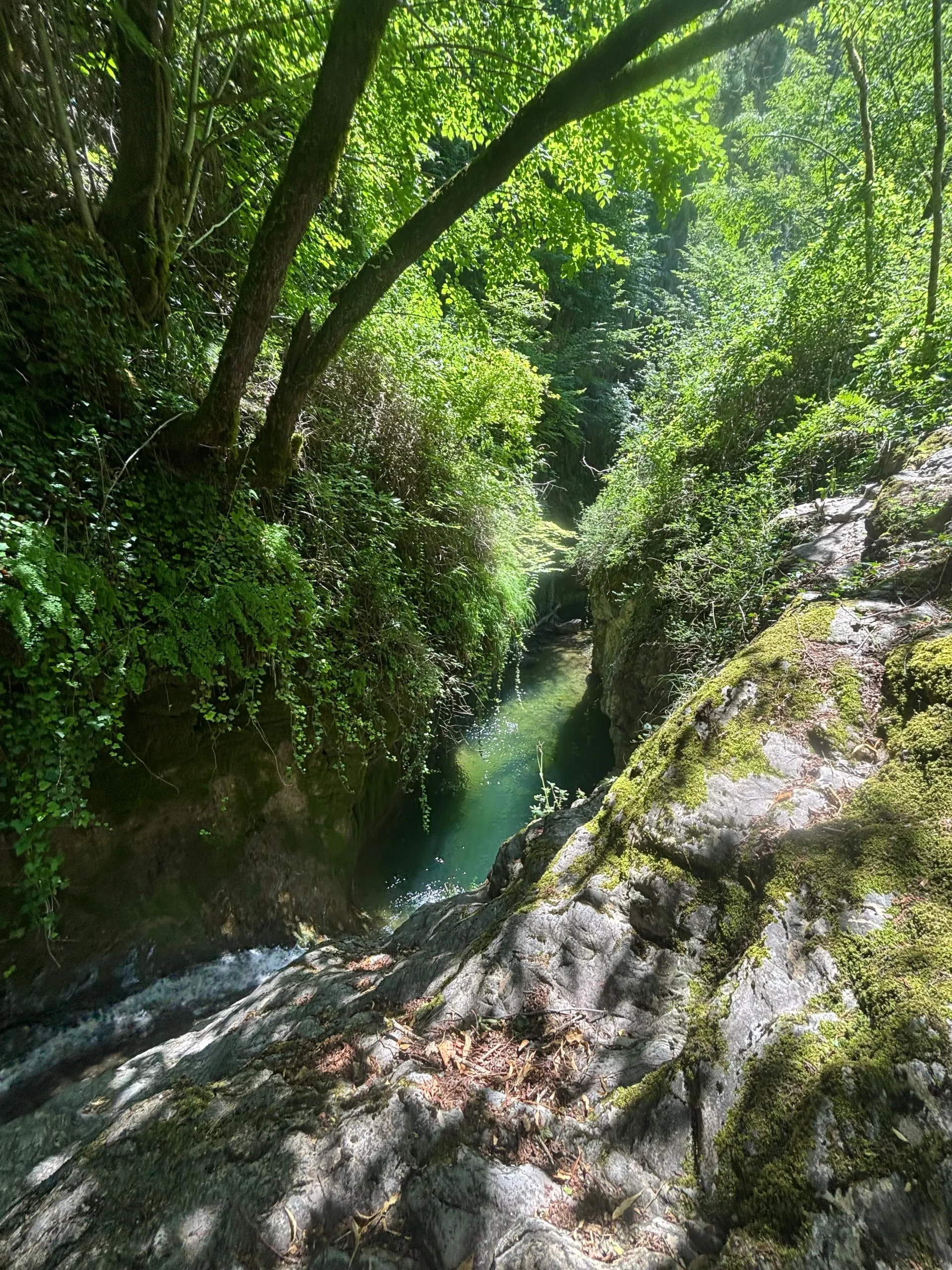amcanyoning-labollene-canyoning