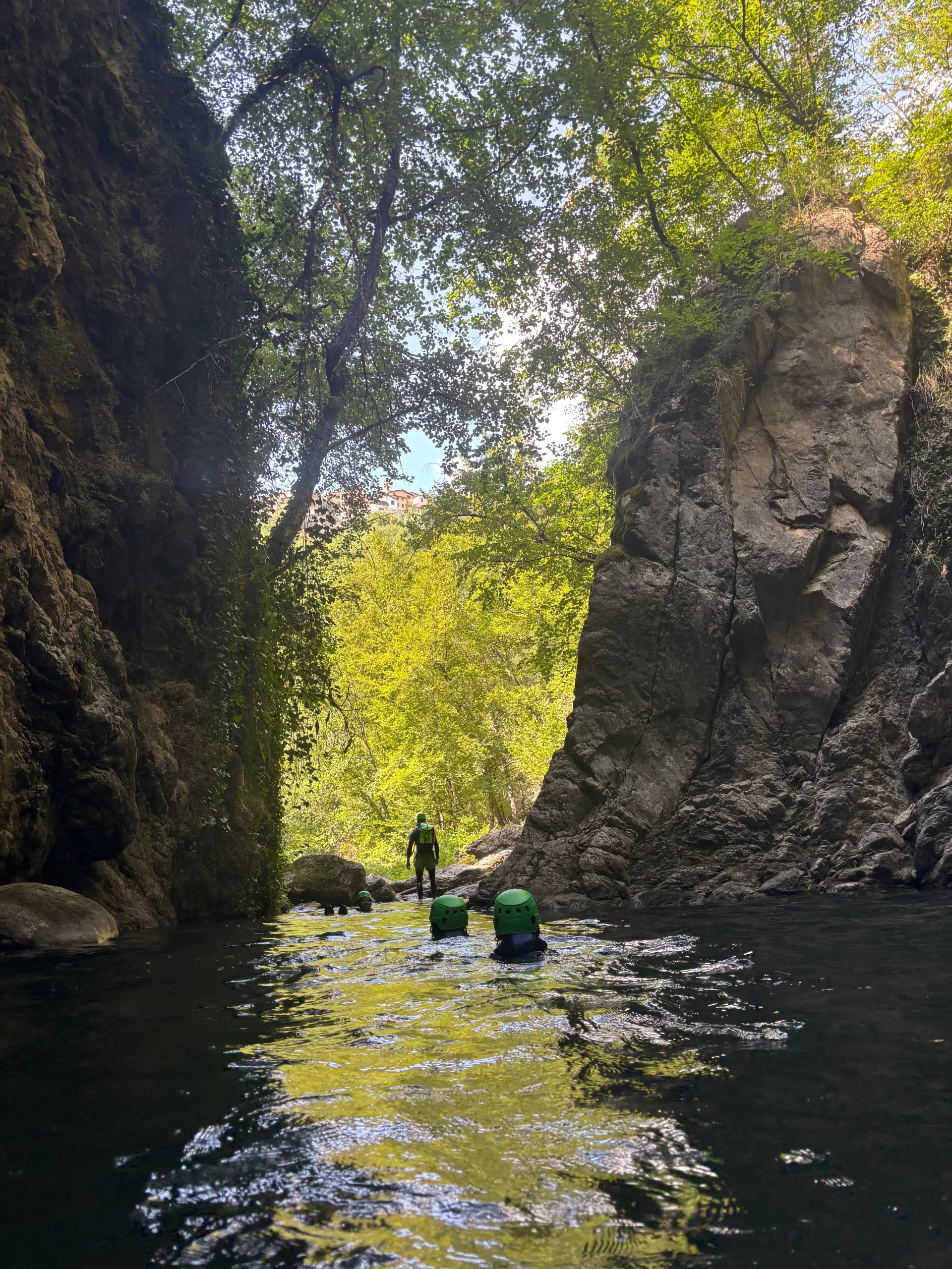 amcanyoning-labollene-nage